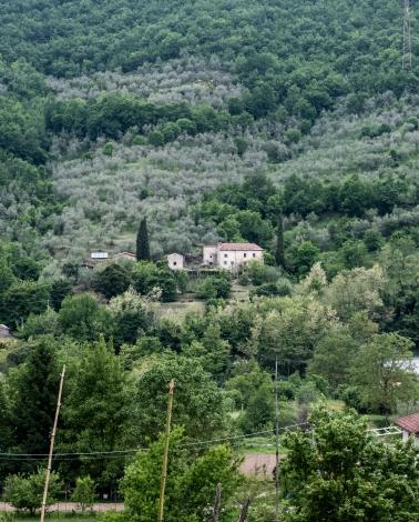 Slow Escape in Tuscany